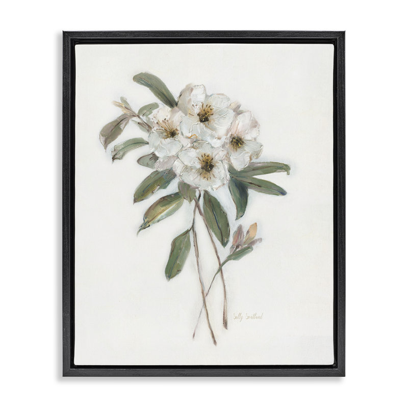 Cadre flottant Flower Sprig, par Sally Swatland, H 31 po x l 25 po, Cadre flottant noir de jais