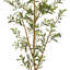 82'' Faux Olive Tree Tree in Planter