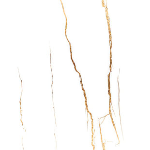 Cyclades Gold White Polished (24x24)