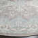 Chauncey Performance Oriental Rug