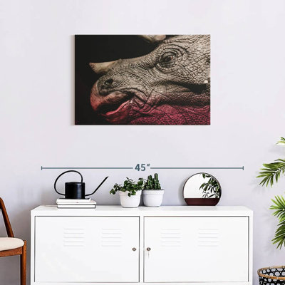 Portrait de dinosaure tricératops Brampt