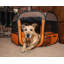 Parc de voyage pour animaux de compagnie pliable et facile à plier Pet Life All-Terrain-27270676-27270677