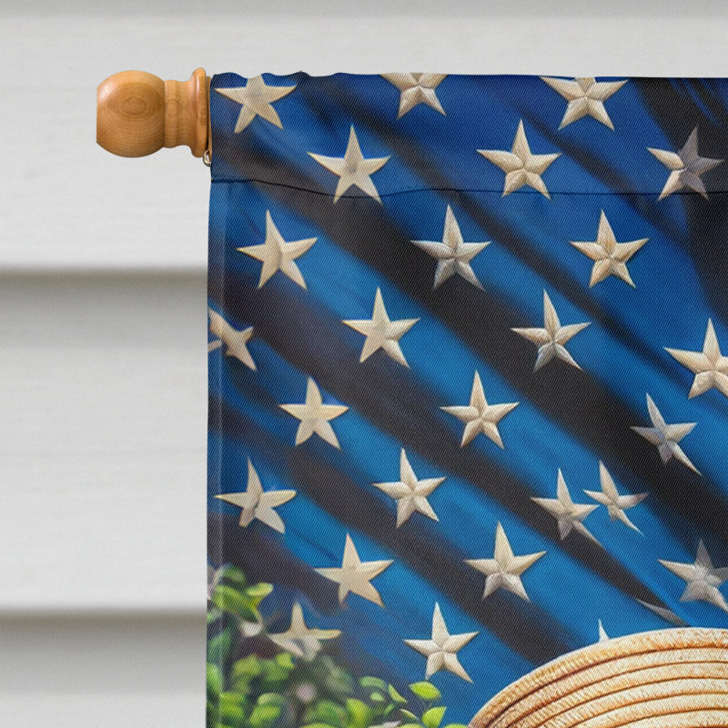 Drapeau «All American House», Lévrier persan