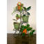 Jardin vertical Baye