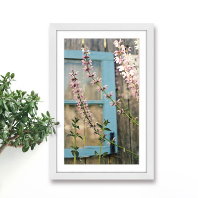 Sylvia Cook - Single Picture Frame Print
