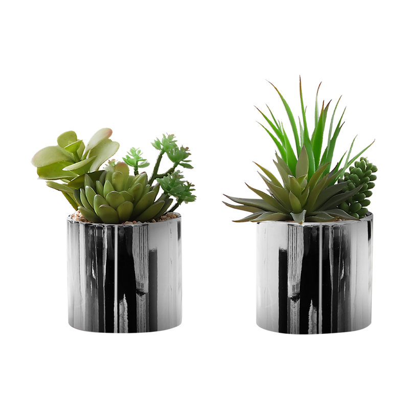 Plante artificielle, Blanc