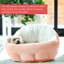 Lit pour chien Ilan Best Friends par Sheri OrthoComfort-1296557898-1296557900