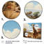 «African Savannah Stroll I» sur toile-817452182-817452179