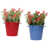 Bleu/rouge