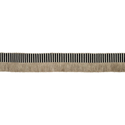 Graphic Fringe