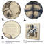 «Blue Giant Titan Blueprints II - Giants», art mural-1552661367-1552661326