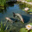 Statues et sculptures de carpes koï en cuivre antique - Décoration de jardin en métal