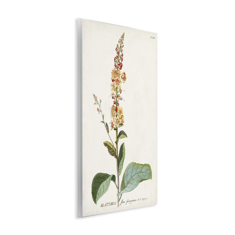 Art sur plaque de plante botanique, H 15 po x l 10 po