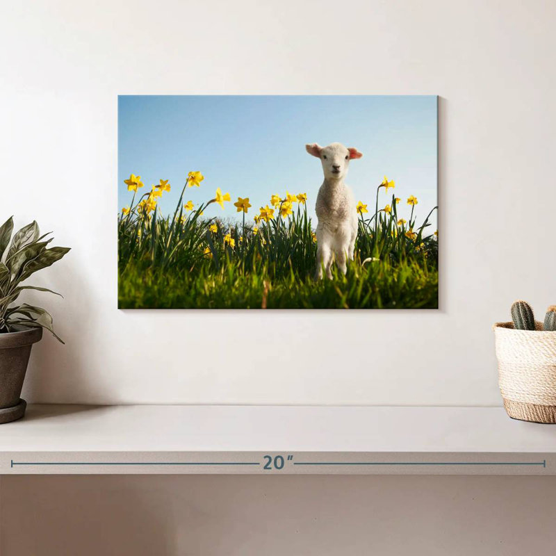 Mouflon dans la prairie, H 8 po x l 12 po