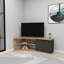 TV Stand with Shelves and Cabinet Dion-1047533623