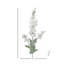 35 "Soft Touch Garden Delphinium-1487348026