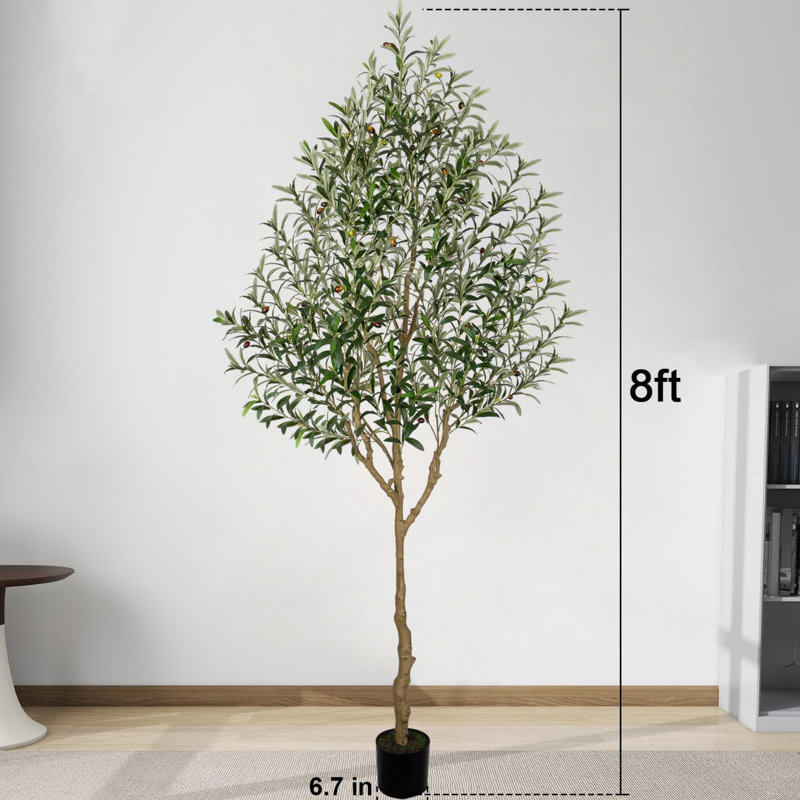 Olive Tree Artificial Indoor