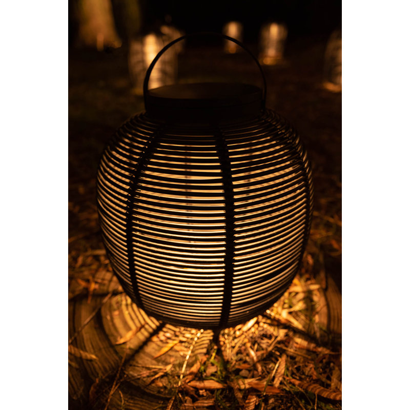 Tika LED Outdoor Wall Lantern, 16.14" H x 13.78" W x 13.78" D, Black