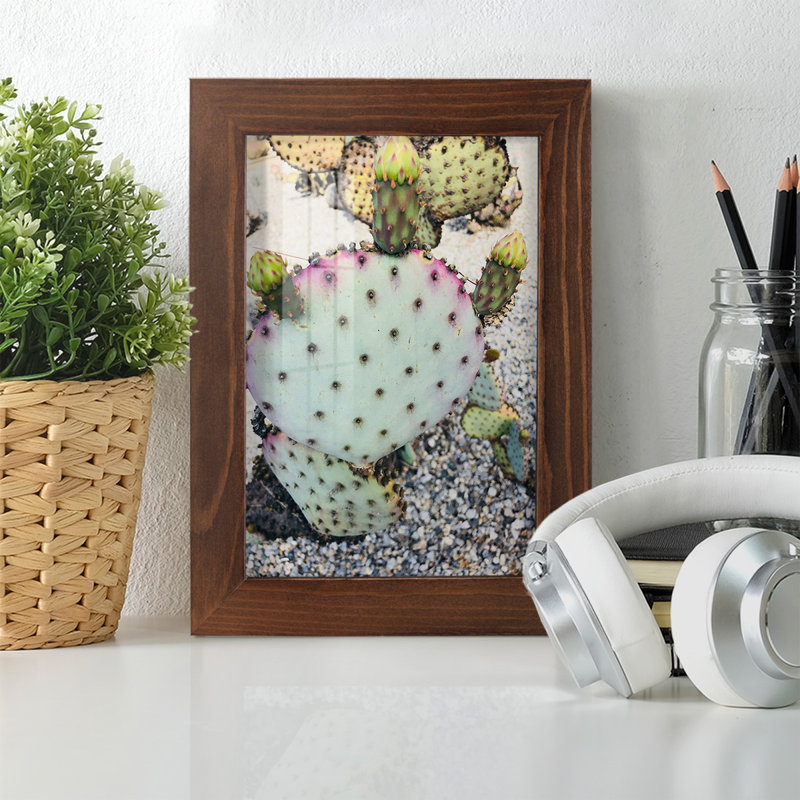 «Pink Green Cactus I», impression sur papier, H 9 po x l 7 po x P 1 po, Châtaigne