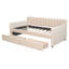 Lit de jour simple rembourré avec tiroirs et support à lattes de bois - Canapé-lit en velours pour rangement et chambre d'enfant, beige-118473465-118473462