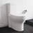 Monaco One-Piece Elongated Toilet Dual-Flush 1.1/1.6 gpf-121372824-121372826