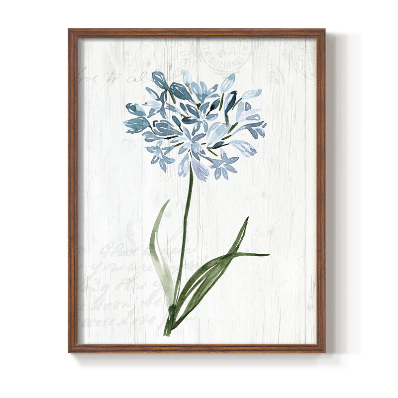 «Garden Botanical I», reproduction encadrée - bois massif, H 30 po x l 24 po, Noyer