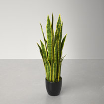  DUZYXI Artificial Snake Plants 16 with White Ceramic Pot  Sansevieria Plant Fake Snake Plant Greenery Faux Plant in Pot for Home  Office Living Room Housewarming Gifts Indoor Outdoor Decor-Green : Home