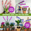 Bell+Howell Bionic Growburst 24" Indoor Plant Growing LED Lamp with 8 Brightness Settings, 3 Light Modes, 3 Heads