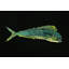 Dorado 1 Piece Wrapped Canvas Painting-19085320