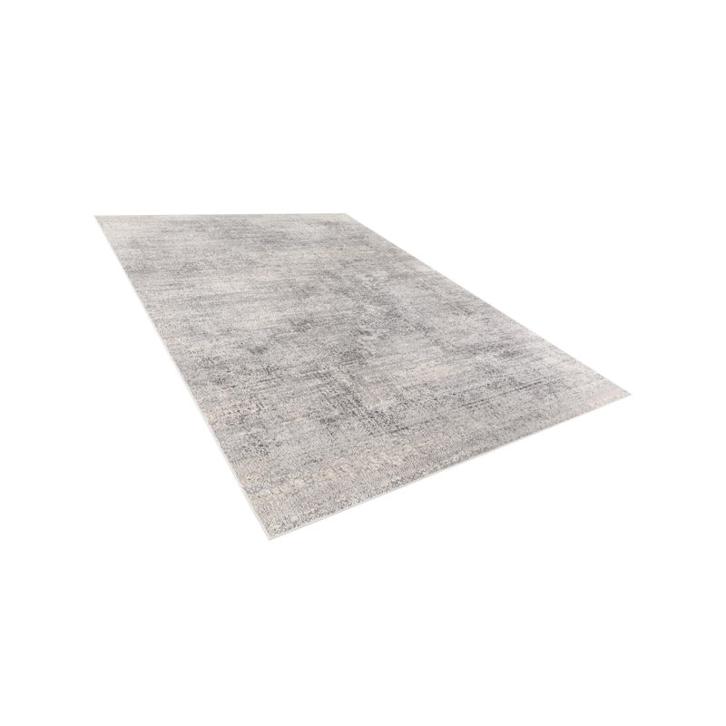 Kater Gray/White Area Rug, Rectangle 5'1" x 7'1"