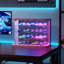 Display Cabinet-1174676994