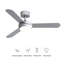 Cheryla Ceiling Fan with LED Lights