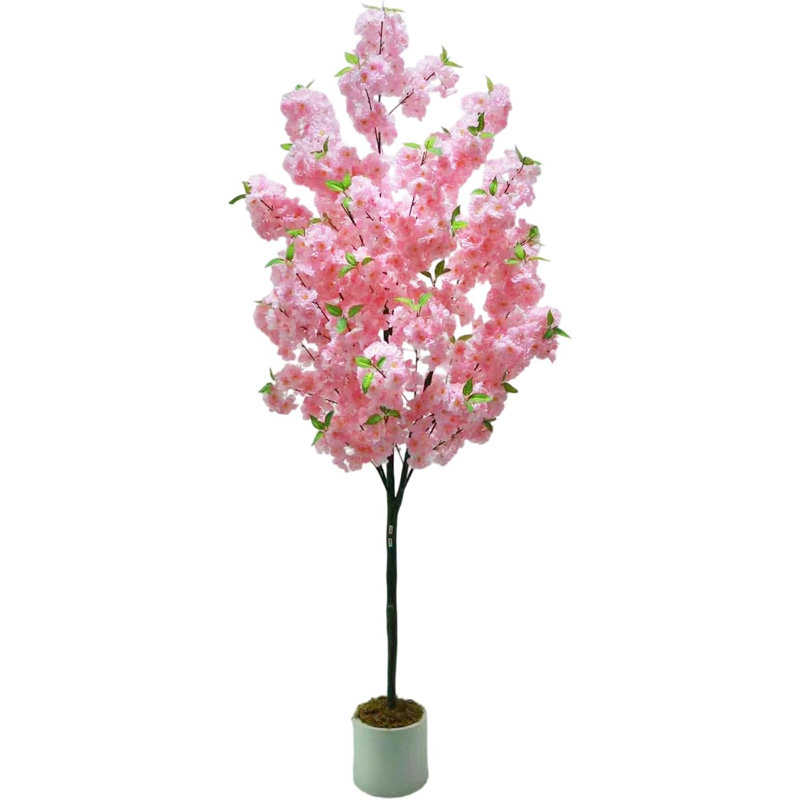180cm Plant
