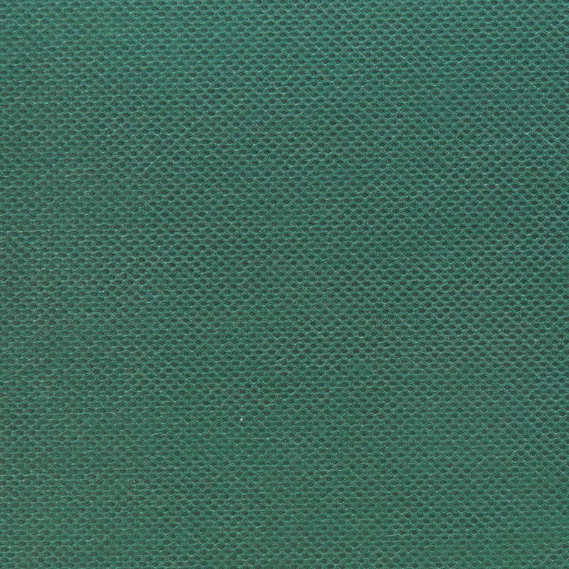  Artificial Grass Tape 0.5X65.6' Green