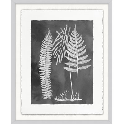 Fernspiration Gray, reproduction d'art graphique encadrée de 5 pi sur verre
