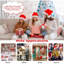 7 pi-PVC-Artificiel-Arbre de Noël-W-Stand-Fêtes-Saison-Intérieur-Extérieur-Blanc