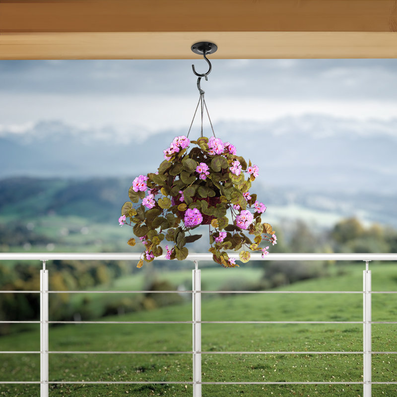 Crochet de plafond mural en métal de qualité supérieure pour plantes, Noir
