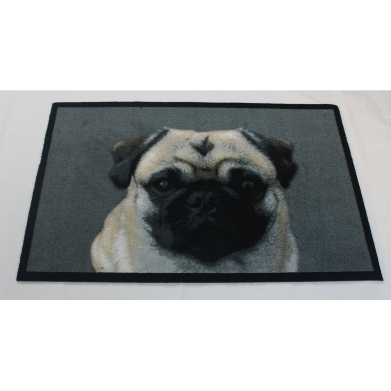 Digirolamo Doormat