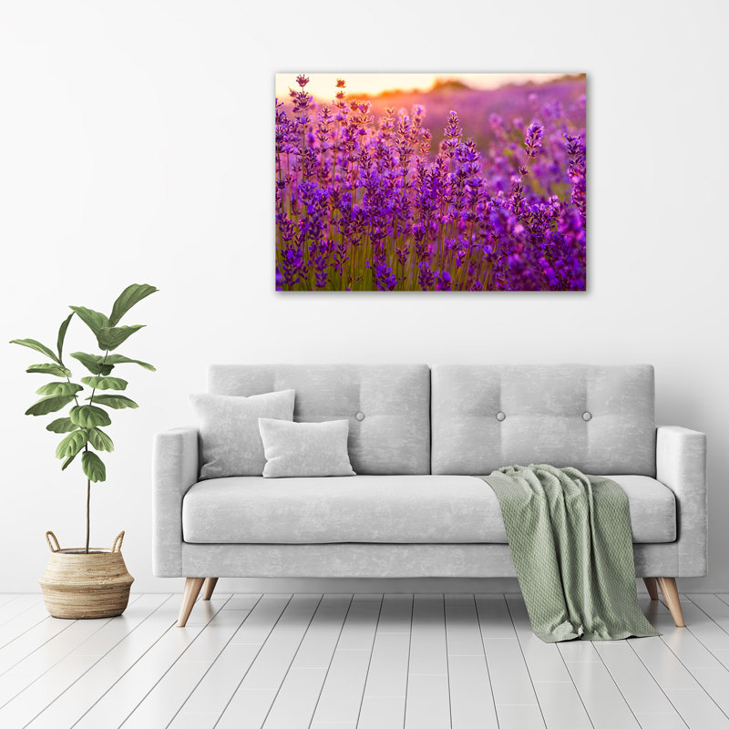 Lavender Field - Wrapped Canvas Print