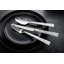 Shale Flatware Set - Service for 4-2075863552