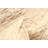 Sienna Cream Rug 5'3" x 7'3"