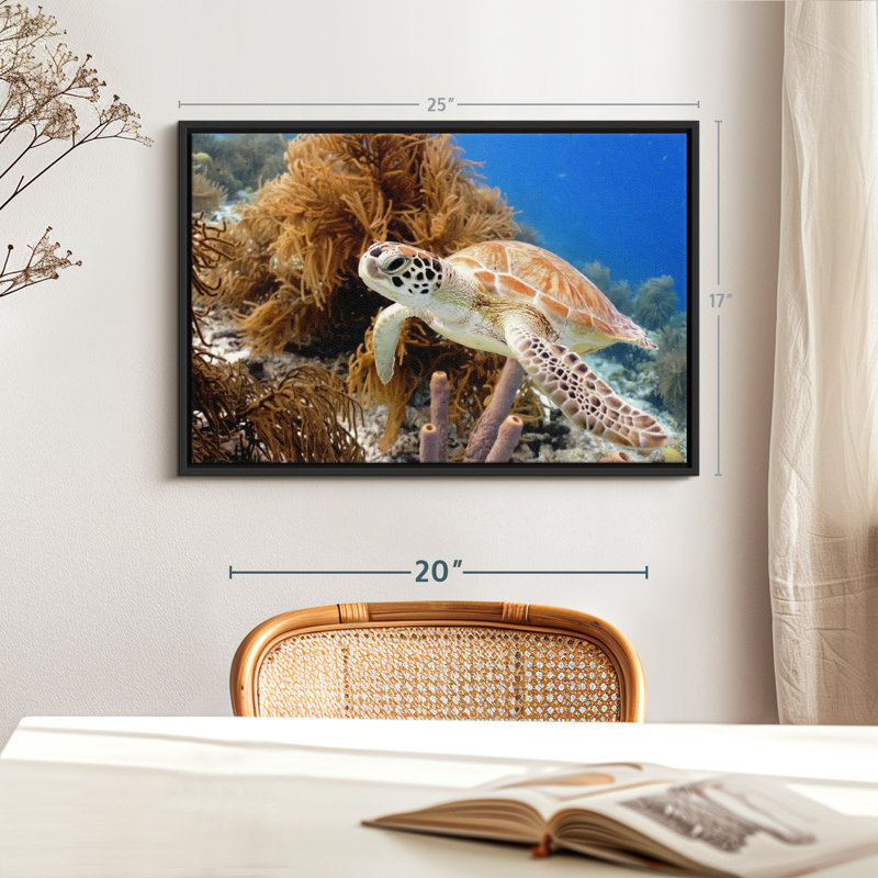 Turtle Reef Canvas Print, 17" H x 25" W