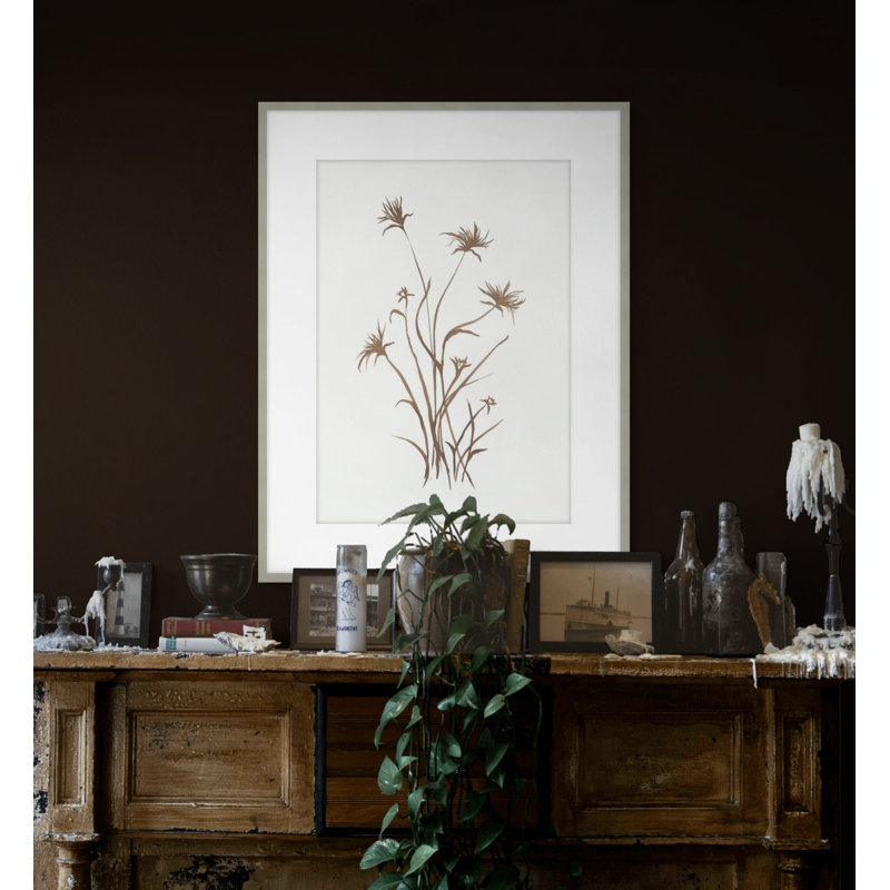 Plants & Flowers Print by Phoebe Williams, 40.75" H x 31.75" W