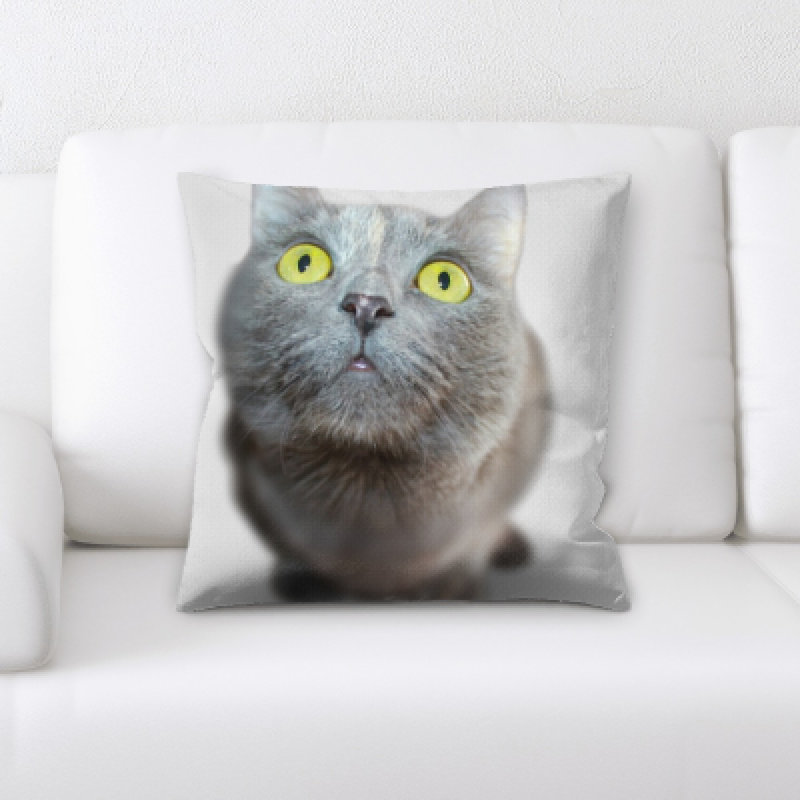 Coussin pour chat Lassiter