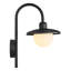 Outdoor Sconce