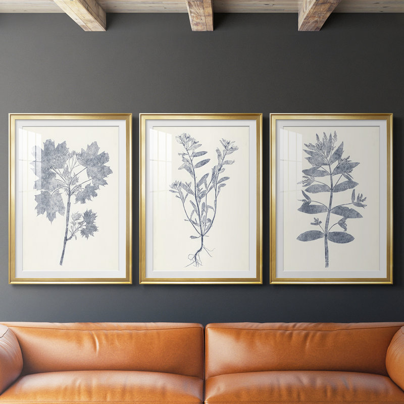 Marine Botanicals I - reproduction sur mesure encadrée de qualité supérieure - 3 pièces, H 21 po x l 30 po, Doré