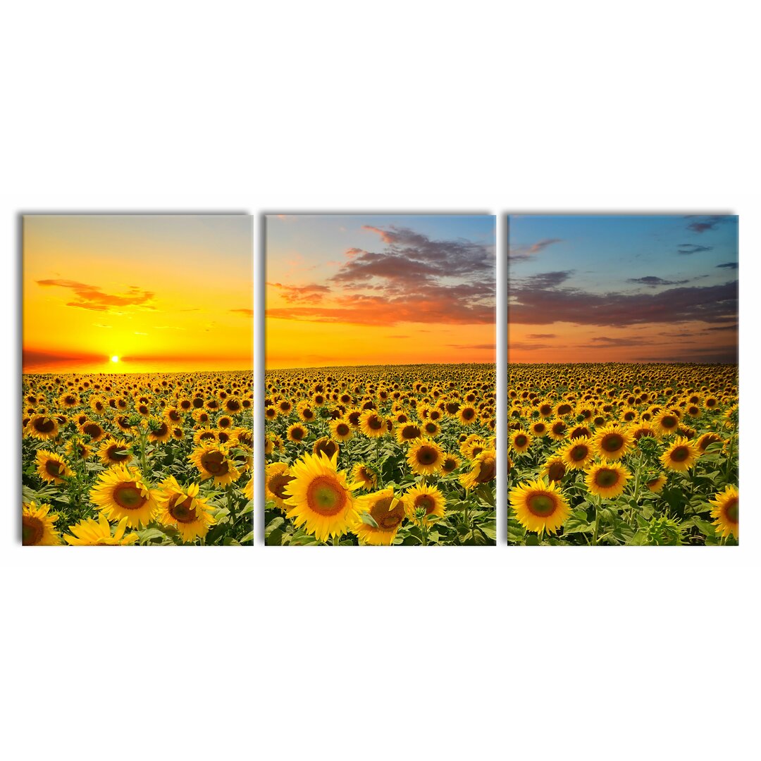 3-tlg. Leinwandbilder-Set Sonnenuntergang Sonnenblumen