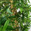 Faux Bamboo Tree in Pot Liner-88980152