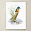 « kingfisher », reproduction d’impression sur toile tendue-21937639