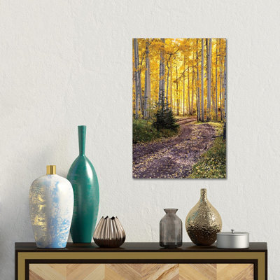 Autumn Aspen Forest Road - Colorado Fall Colors 1 Piece Wall Art on Canvas